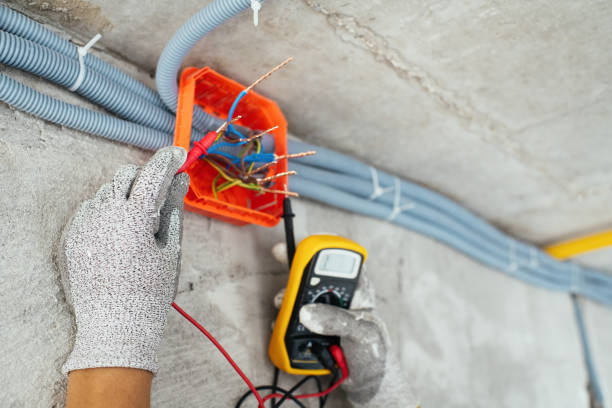 Best Ceiling Fan Installation Electrician  in Raymondville, TX